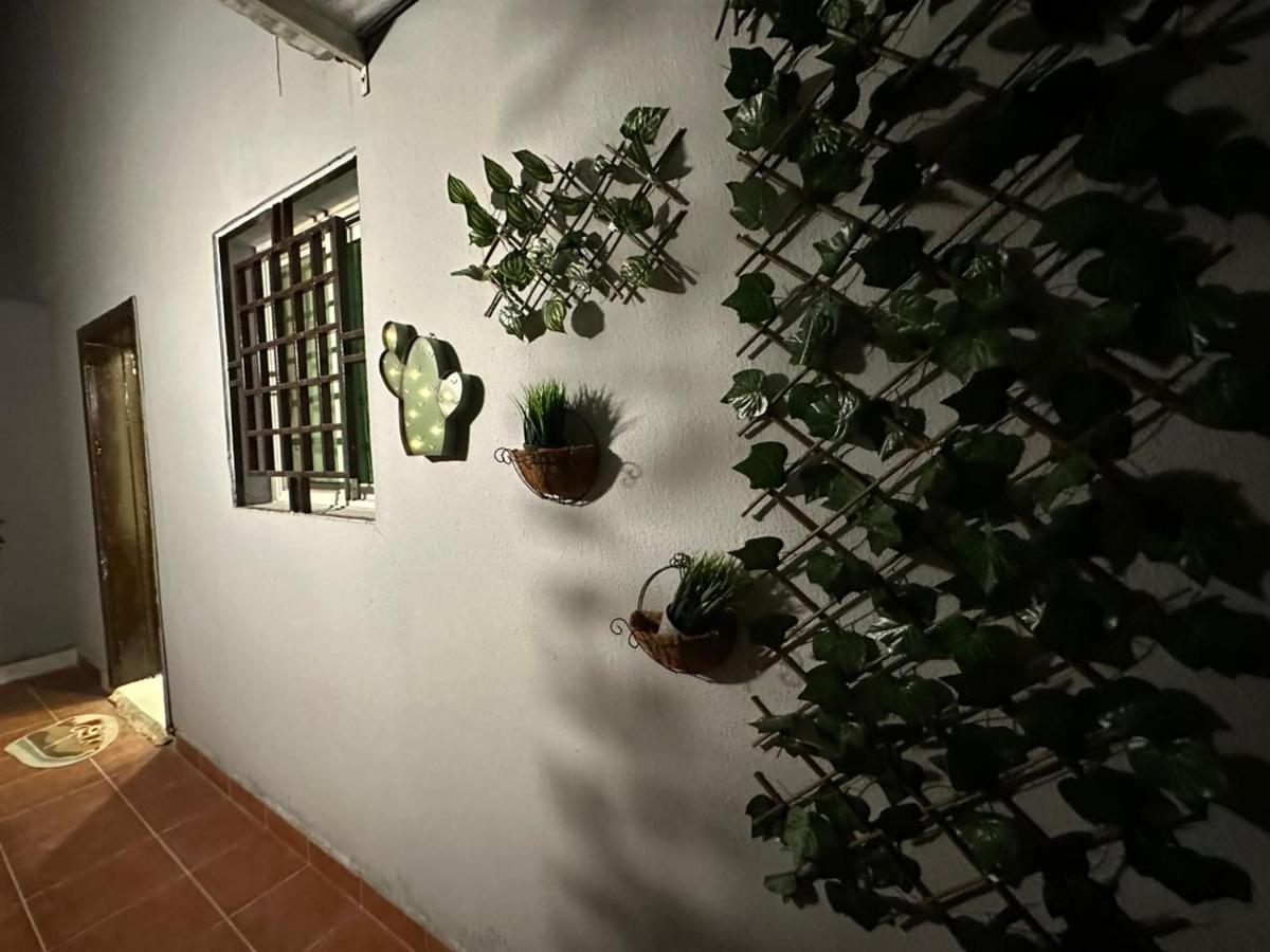 Apartment استديو بدخول ذاتي وجلسة خارجية *